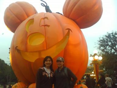 Disney_METIFF